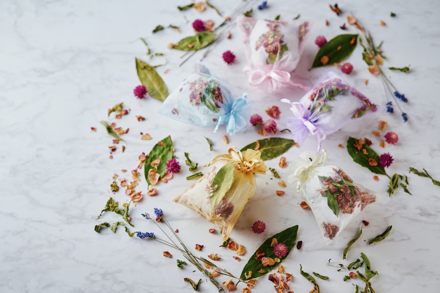 神戸布引ハーブ園「Winter Garden Fair 2026 -ほっこり楽しむ冬の散歩道-」