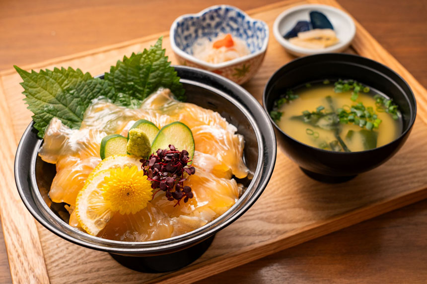 平戸モノ語り—松浦静山と熈の情熱—