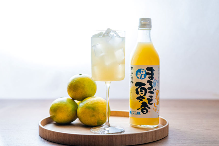 平戸モノ語り—松浦静山と熈の情熱—