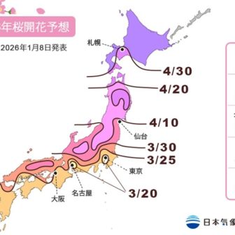 2026年第2回桜開花・満開予想