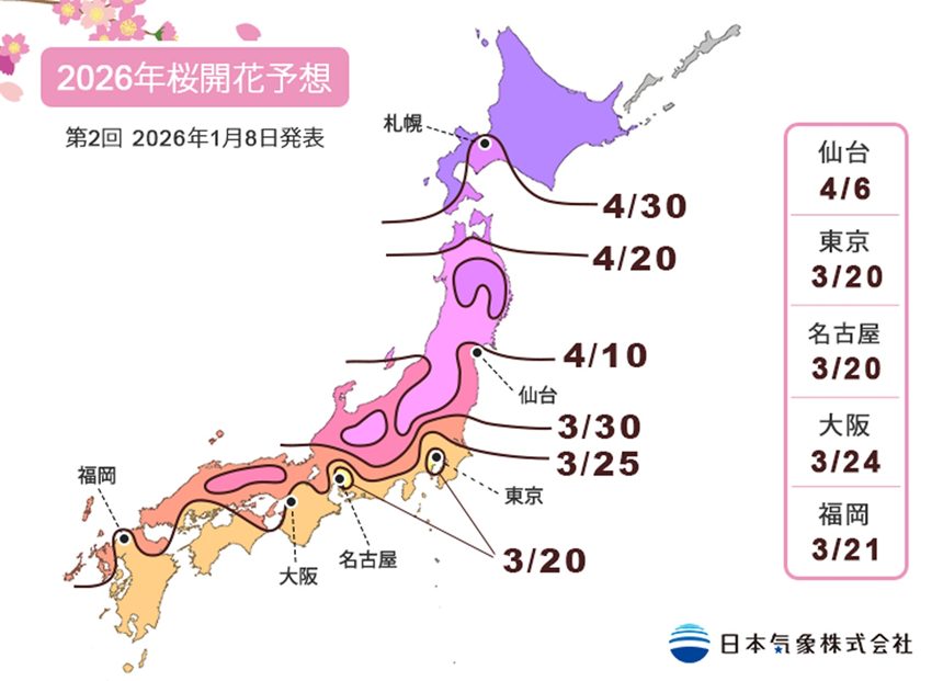 2026年第2回桜開花・満開予想