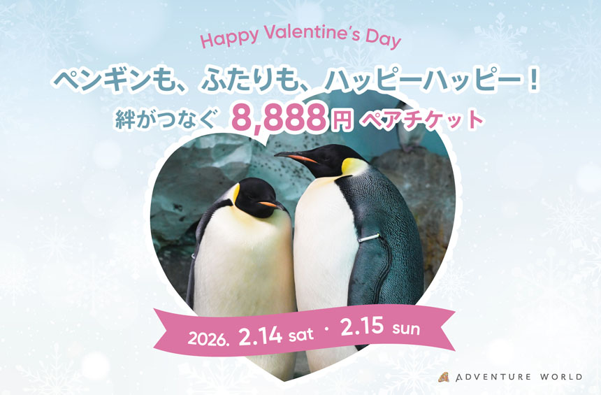 アドベンチャーワールド