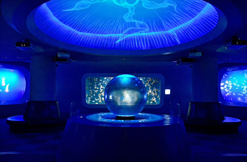 えのすいで発見!!たまごっちと海のなかまたち!