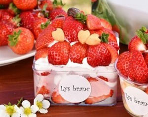 あまおうとこだわり生クリームのパティシエ体験2026 〜まるで、いちごを食べるためのケーキ〜