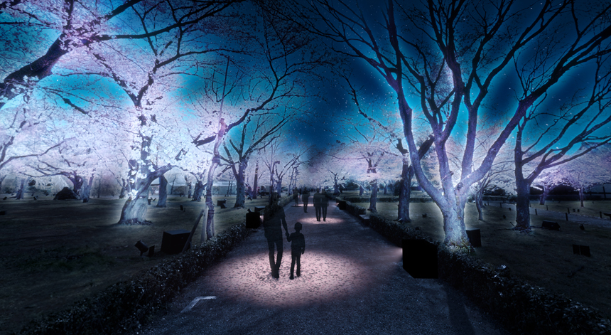 二条城 2026 SAKURA NIGHTS