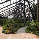 大多喜有用植物苑