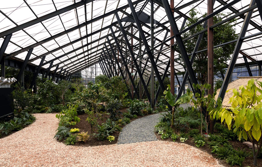 大多喜有用植物苑