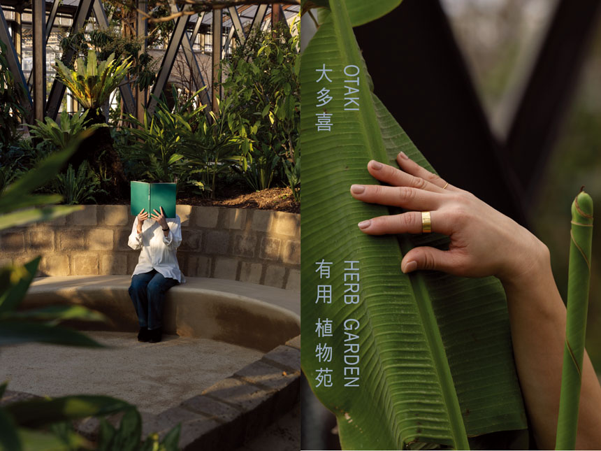 大多喜有用植物苑 リニューアルオープン