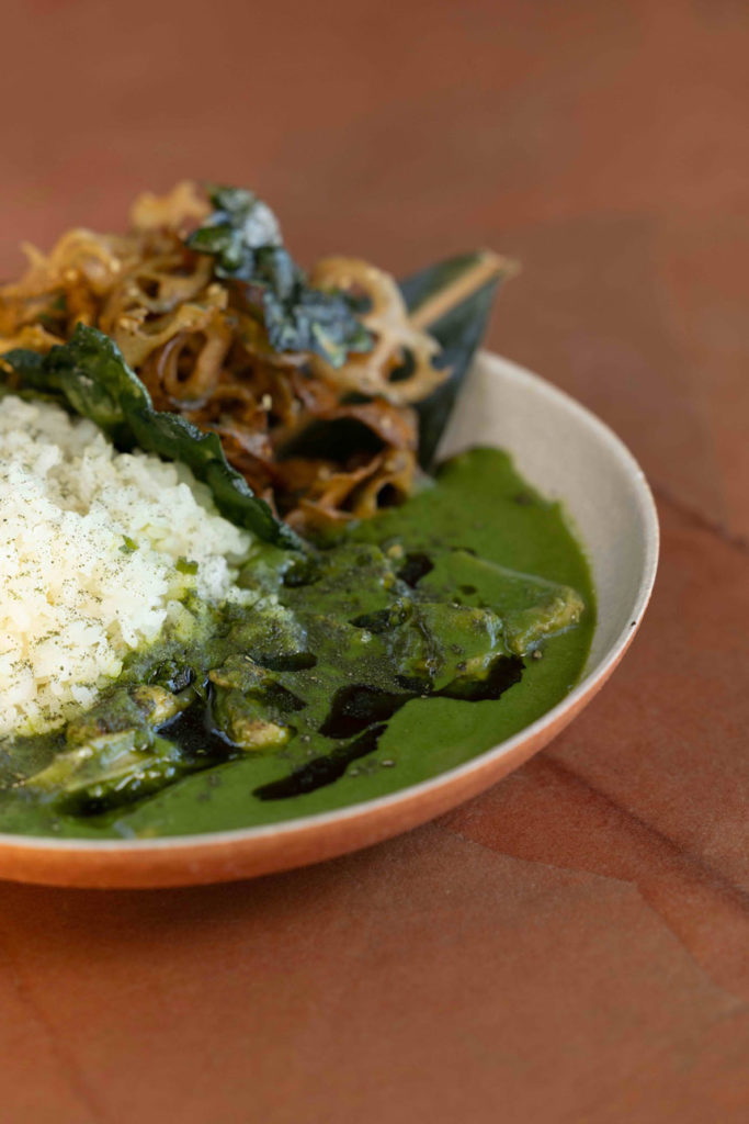 大多喜有用植物苑 リニューアルオープン