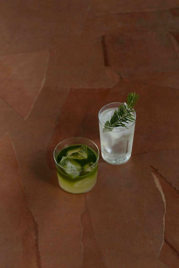 大多喜有用植物苑 リニューアルオープン