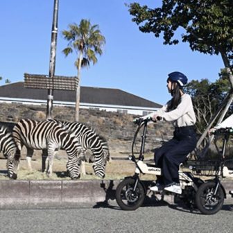 アドベンチャーワールド サファリ Eバイククルーズ