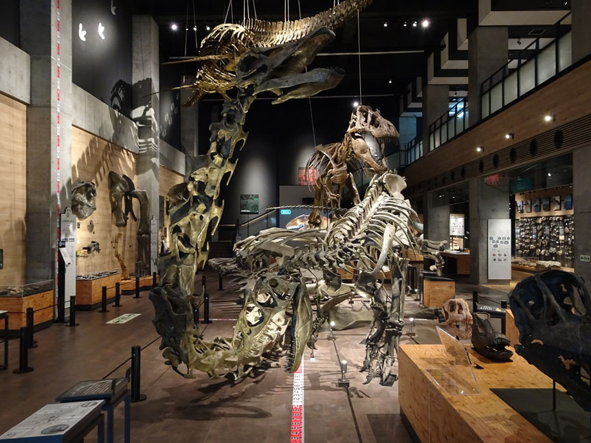 福岡空港発 天草エアラインで行く！天草・御所浦恐竜の島博物館 日帰りツアー