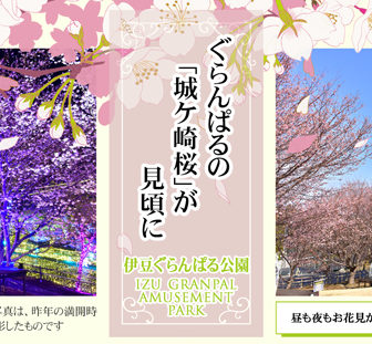 伊豆ぐらんぱる公園 城ケ崎桜