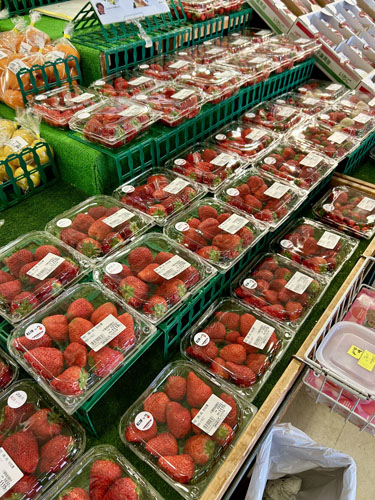道の駅ローズマリー公園 はなまる市場「はなまるいちごまつり」