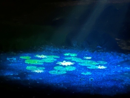 春夜の六義園 夜間特別観賞