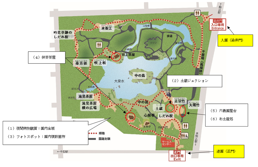 春夜の六義園 夜間特別観賞