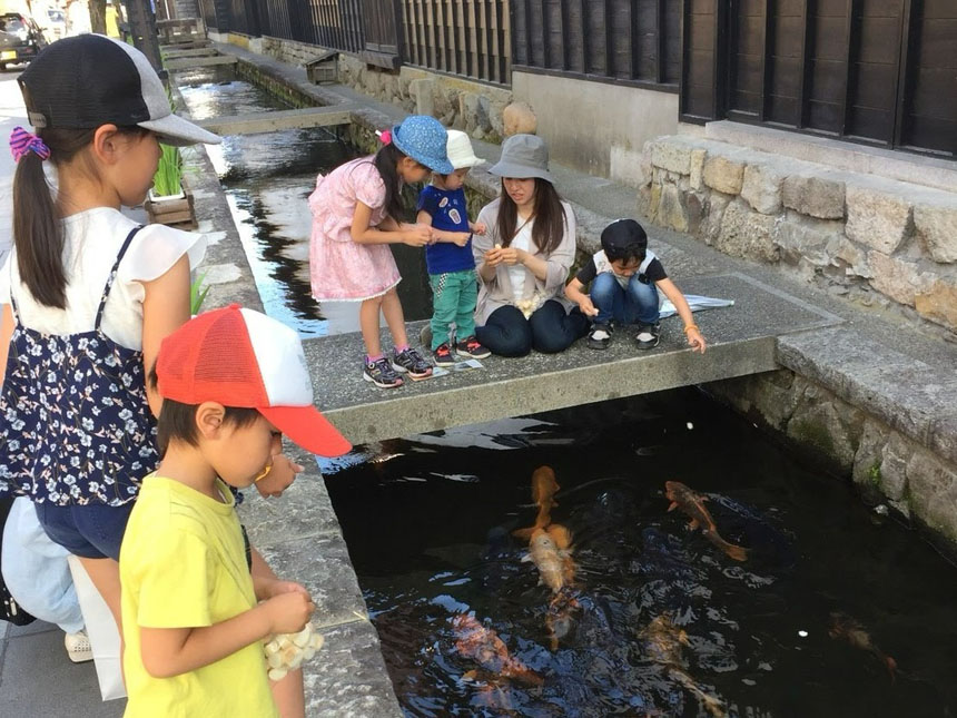 瀬戸川の鯉のエサやりが大人気