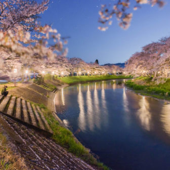 宇陀川桜並木ライトアップ