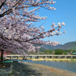 中ノ島公園（嵐山公園 中之島地区）