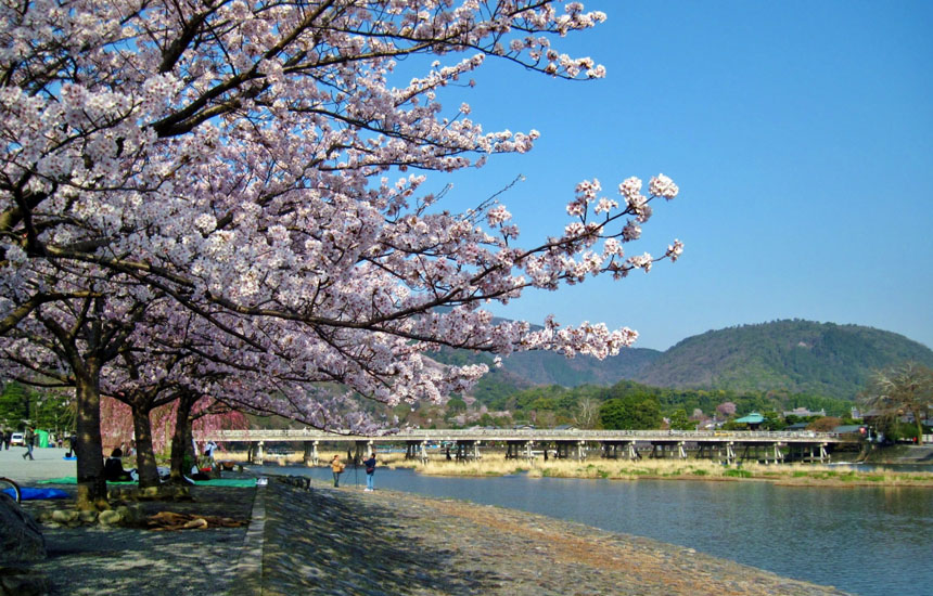 中ノ島公園(嵐山公園 中之島地区)