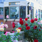 大塚バラロード