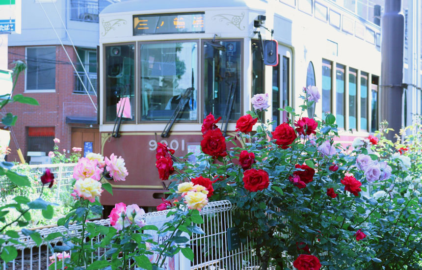 大塚バラロード